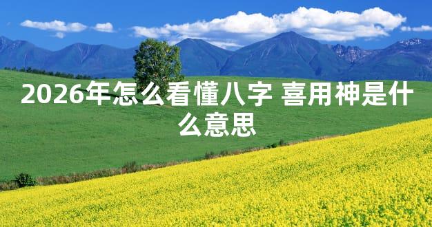 2026年怎么看懂八字 喜用神是什么意思